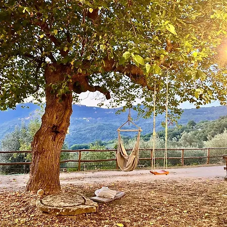 Nonno Ninuccio